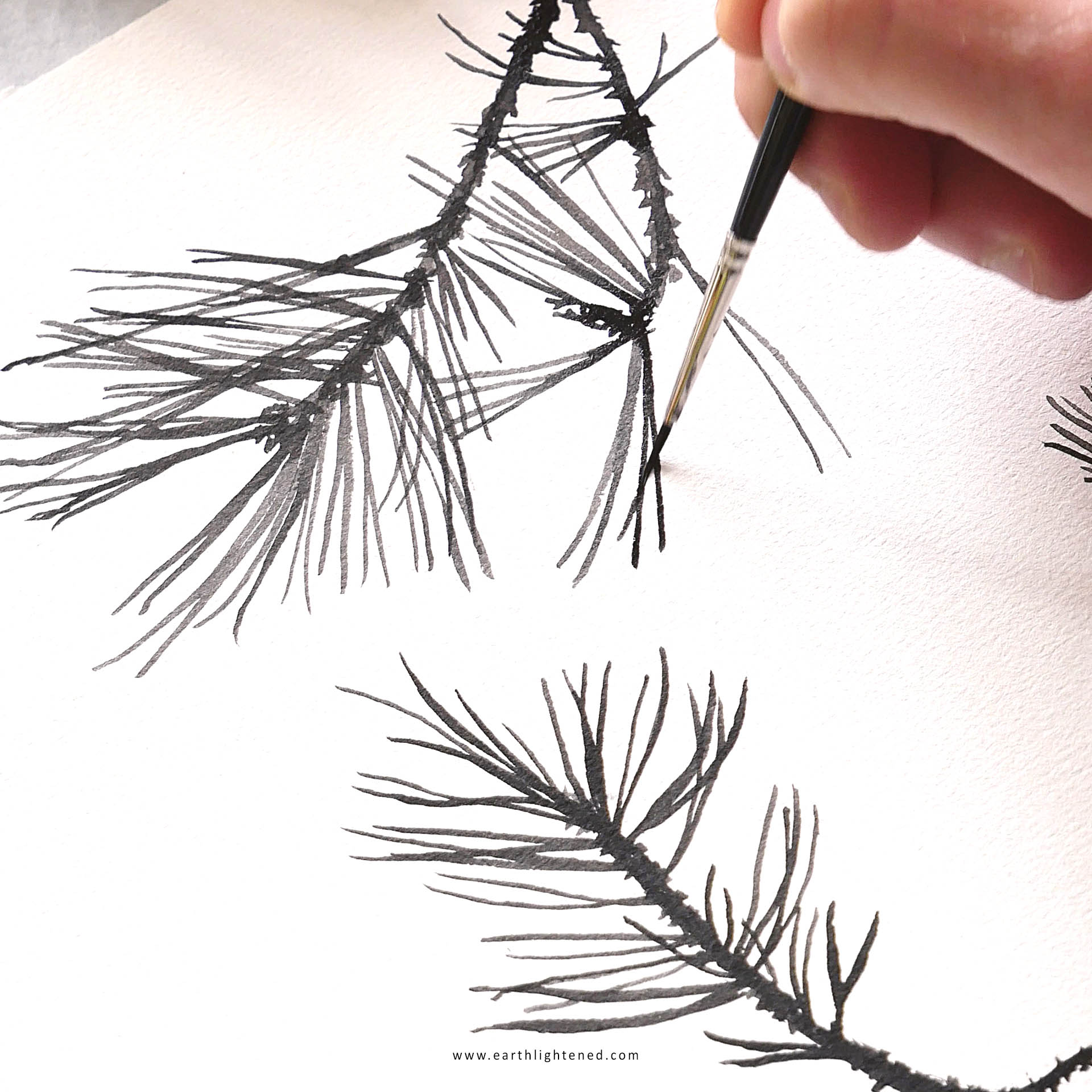 aquarelle correspondance interlude details illustration
