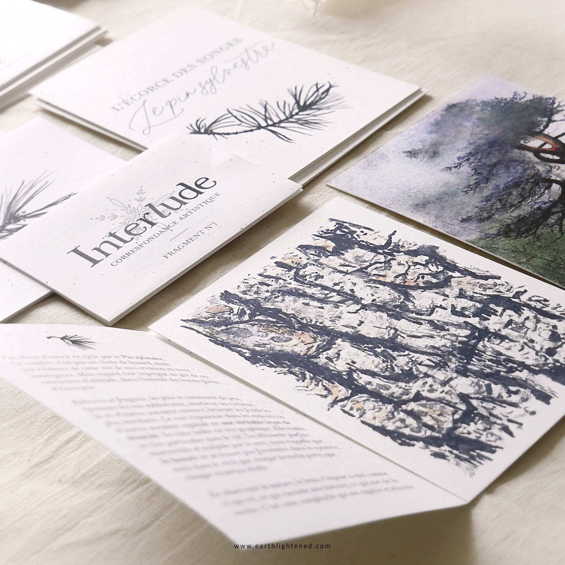 contenu snail mail pack details interlude