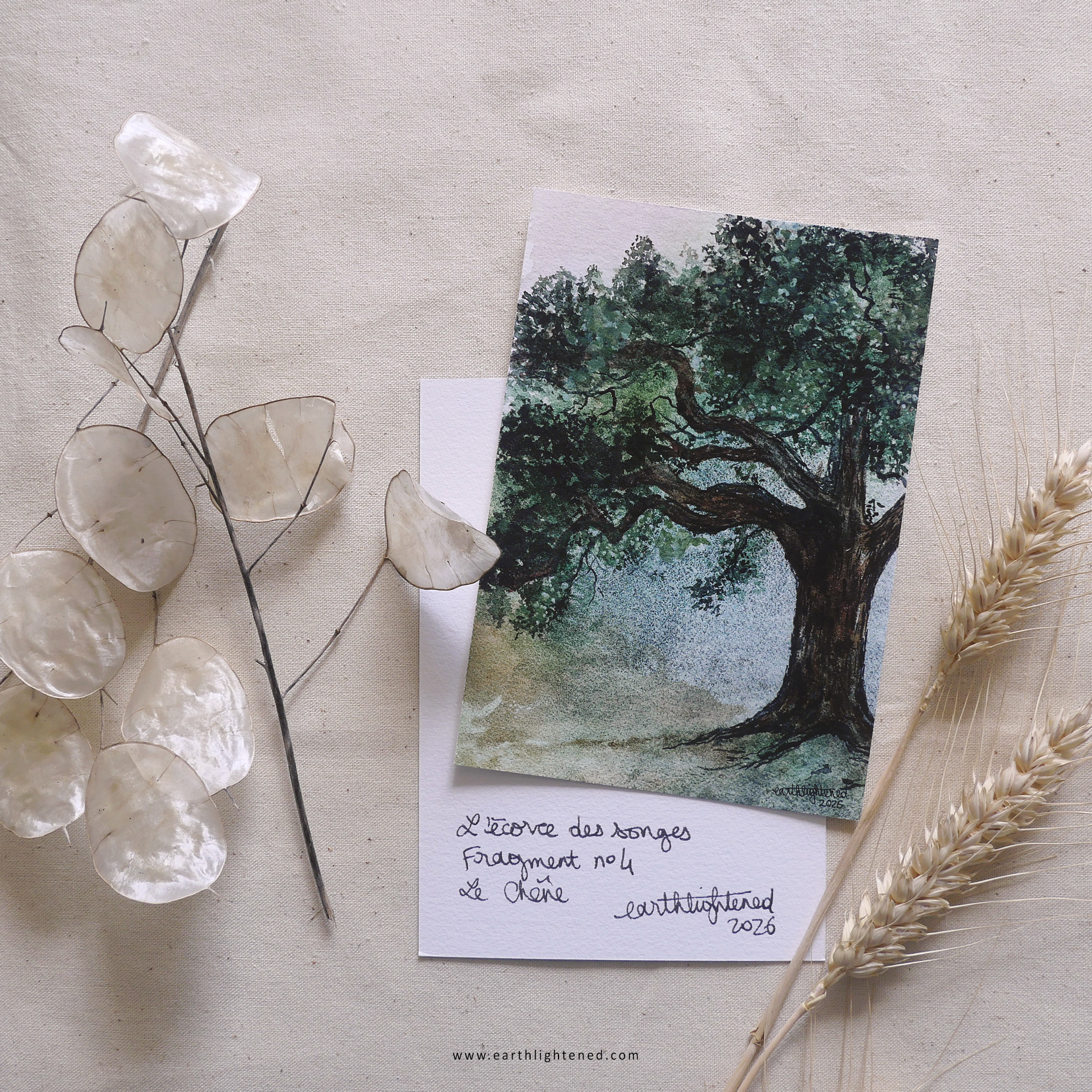 Peinture originale à l'aquarelle du chêne signée, incluse dans l'abonnement de la correspondance artistique