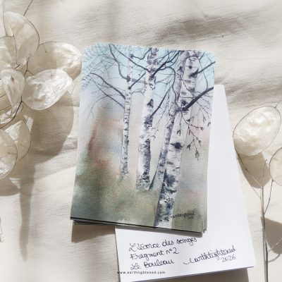 Interlude • Correspondance Artistique • L&rsquo;Écorce des Songes