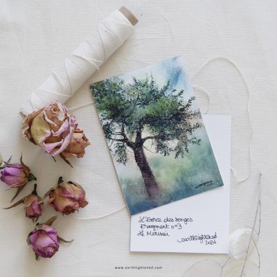 Interlude • Correspondance Artistique • L’Écorce des Songes