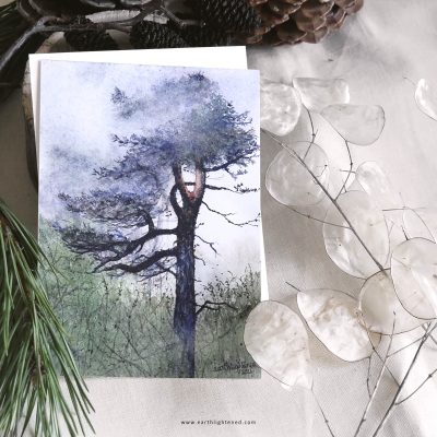 Interlude • L’Écorce des Songes • Archives 2026